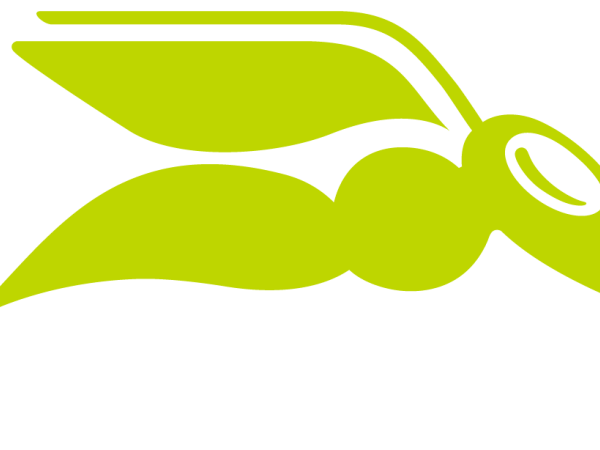 Hornetsecurity